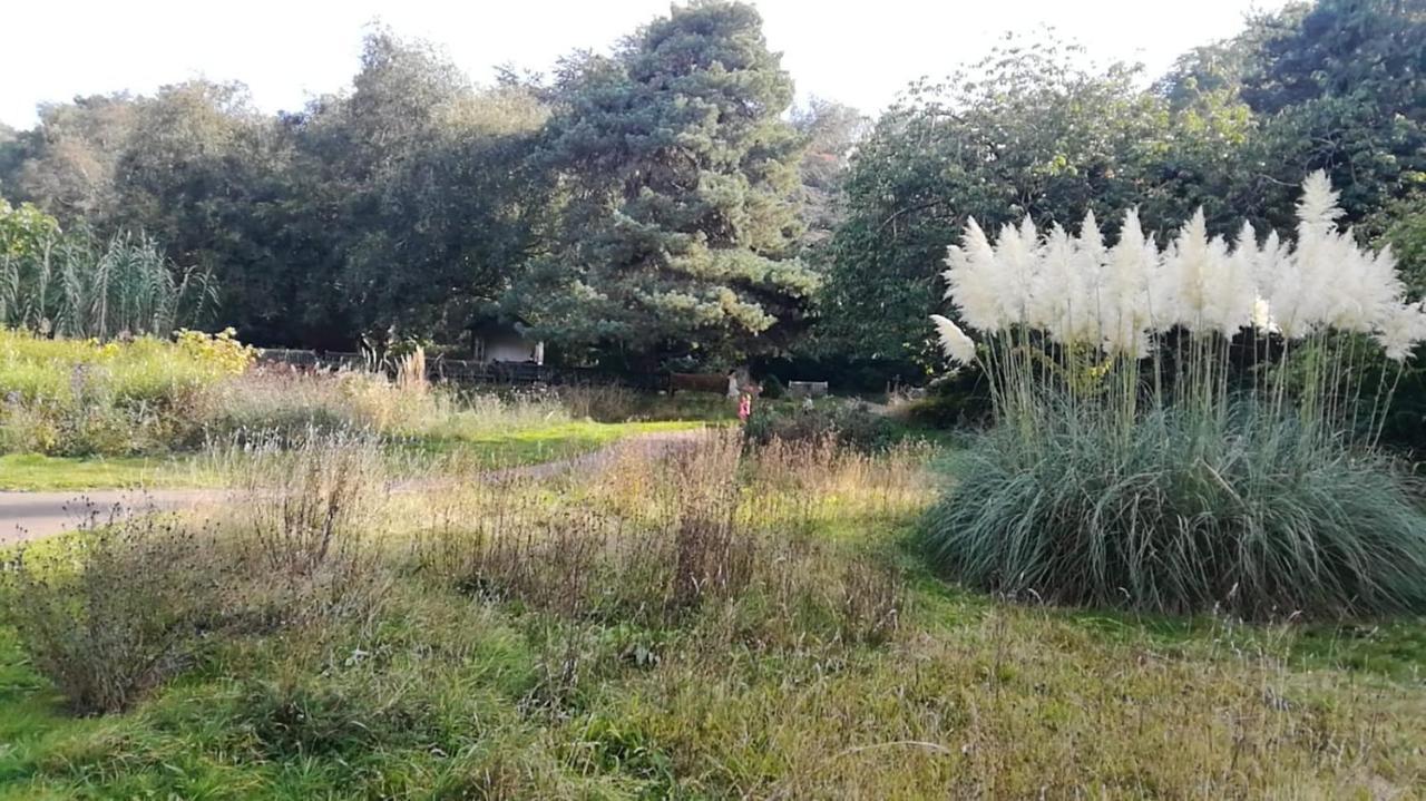 Many Worlds Meet - Eurostar, Wimbledon 30 Mins, Central London, Gatwick 15 Mins - Spacious, Sleeps Up To 16 Plus Cot - Free Wifi, Parking - Next To Lloyd Park, Great For Families, Walkers, Relocators - Ideal For Contractors Croydon kerület Kültér fotó