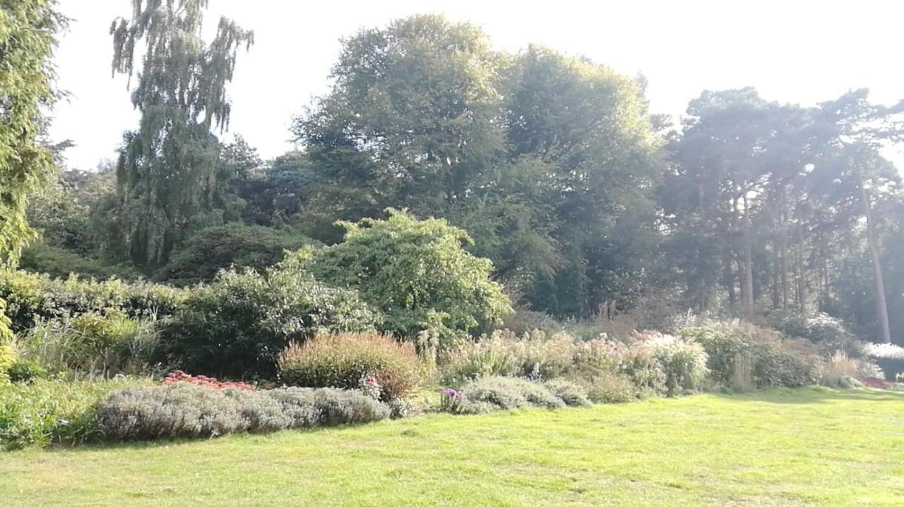 Many Worlds Meet - Eurostar, Wimbledon 30 Mins, Central London, Gatwick 15 Mins - Spacious, Sleeps Up To 16 Plus Cot - Free Wifi, Parking - Next To Lloyd Park, Great For Families, Walkers, Relocators - Ideal For Contractors Croydon kerület Kültér fotó