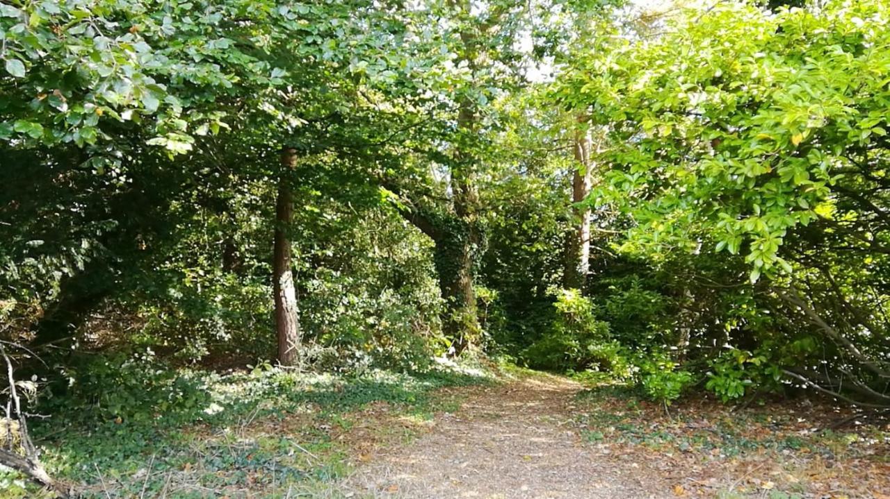 Many Worlds Meet - Eurostar, Wimbledon 30 Mins, Central London, Gatwick 15 Mins - Spacious, Sleeps Up To 16 Plus Cot - Free Wifi, Parking - Next To Lloyd Park, Great For Families, Walkers, Relocators - Ideal For Contractors Croydon kerület Kültér fotó